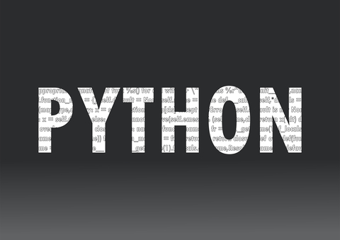 Python Icon