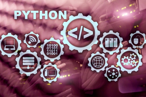 Python Icon