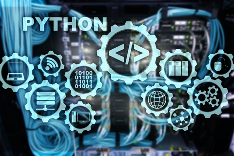 Python Icon